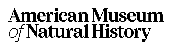 American Museum of Natural History New York